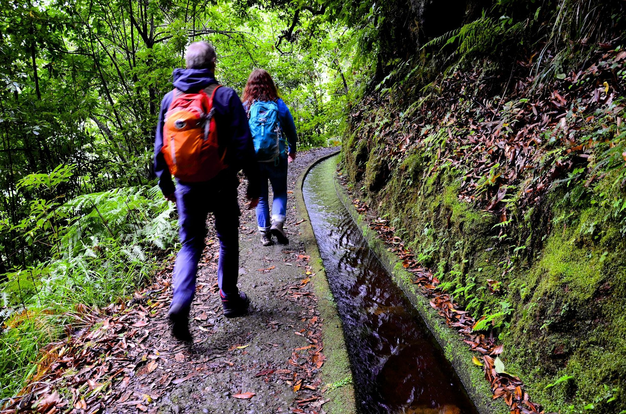 Vila Toca Funchal  Luaran gambar