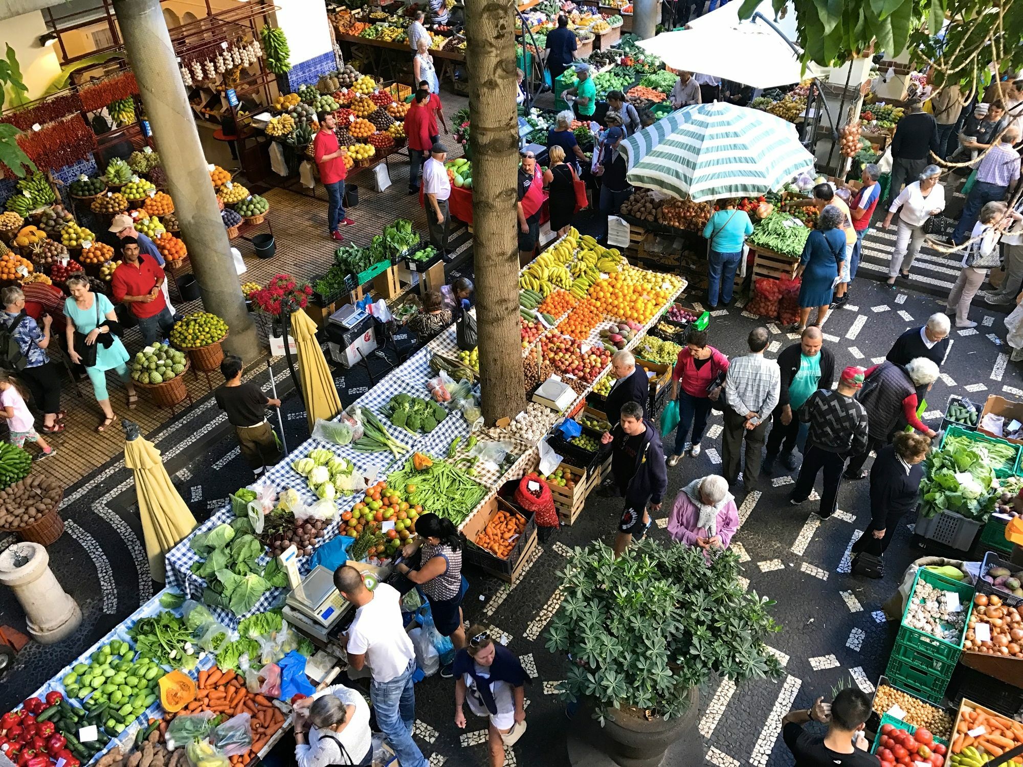 Vila Toca Funchal  Luaran gambar